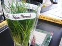 Schnittlauch klassisch © flickr / acme