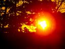 Die Sonne sollte nach der Einnahme mit Vorsicht genossen werden. ecker © Flickr