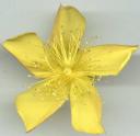 Andyrob©Flickr