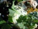 Der Wiesenkerbel ist herber als der Gartenkerbel. ejhogbin©Flickr