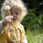 Kräuter in der Kinderheilkunde© flickr.com/Fabian Bromann