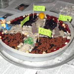 5_mini_kraeutergarten_kinder_kresse©kraeuterallerlei/D.Schwarz 5_mini_kraeutergarten_kinder_kresse©kraeuterallerlei/D.Schwarz