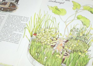mini_kraeutergarten_kinder