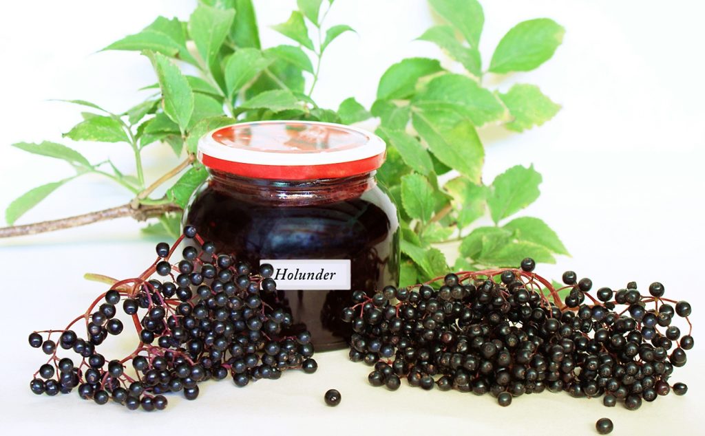 Holundermus Rezept, Holundermus Rezept