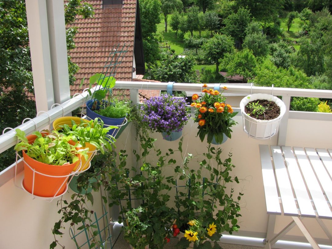Balkon mit Blumen und Kräutern