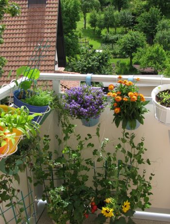 Balkon mit Blumen und Kräutern