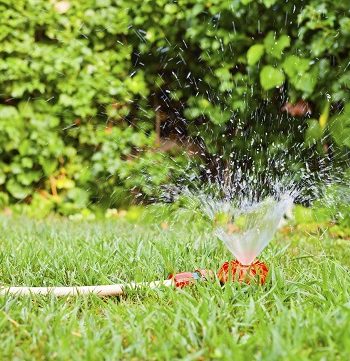 Technische Neuerungen als Bereicherung für den Garten