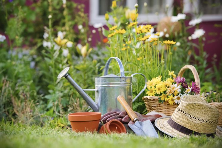 Rosenfreunde aufgepasst: Neue Sorten zum Bewundern