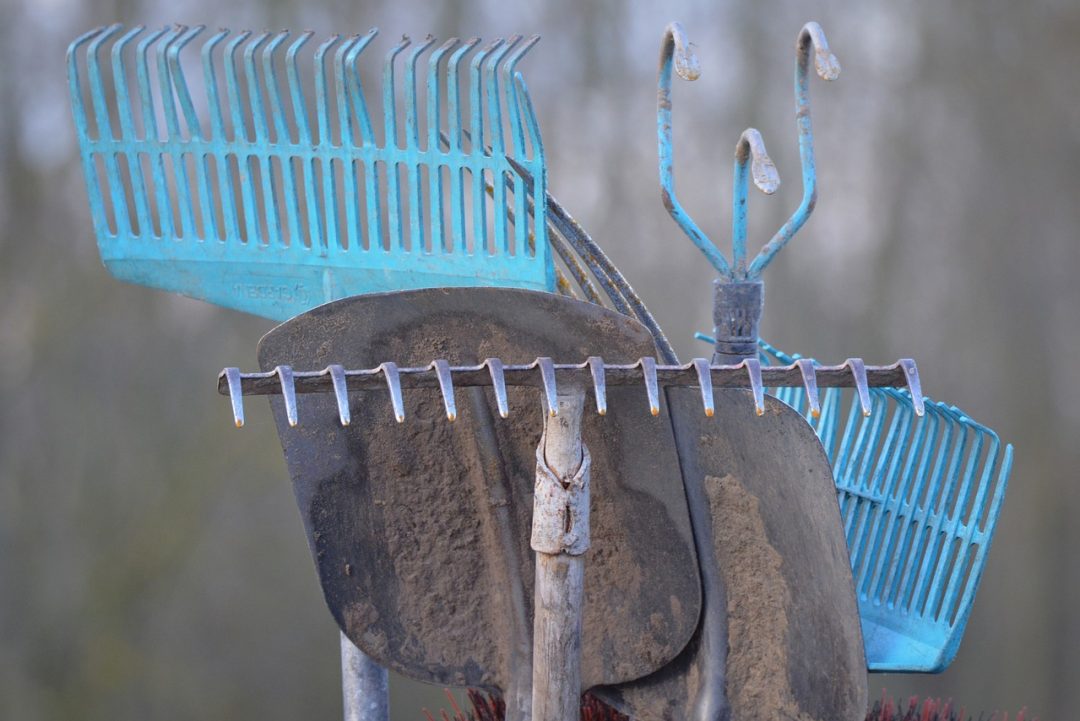 Start der Gartensaison: So macht ihr euer Gartenwerkzeug einsatzbereit