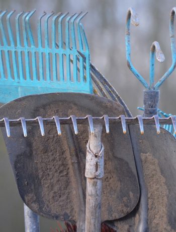 Start der Gartensaison: So macht ihr euer Gartenwerkzeug einsatzbereit