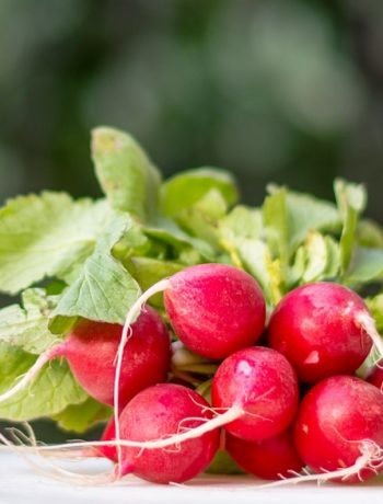 Gesunder Snack: Radieschen, die Schlankmacher-Geheimwaffe