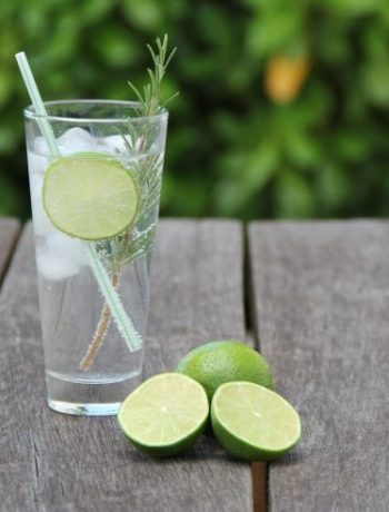 Wie Botanicals dem Gin Geschmack verleihen