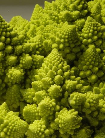 Romanesco: Dieser Kohl hat’s in sich