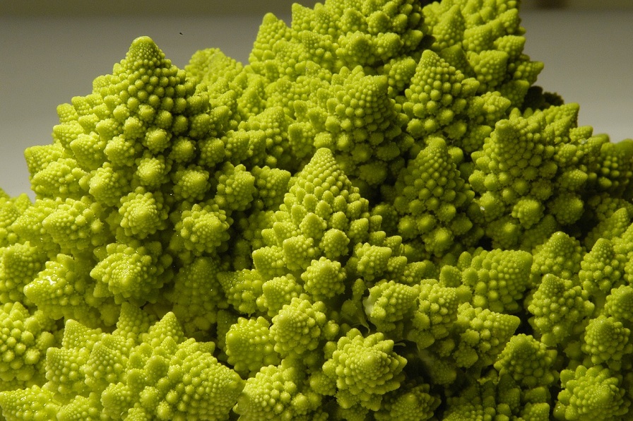 Romanesco: Dieser Kohl hat’s in sich