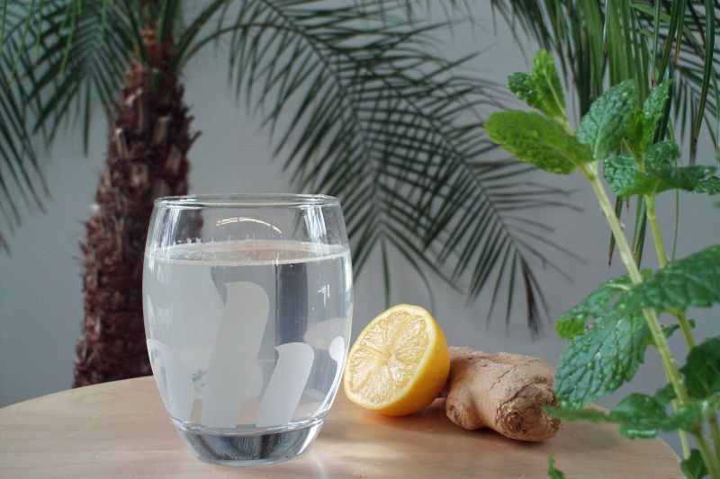 Ginger Beer ganz leicht selber machen| Kraeuterallerlei.de